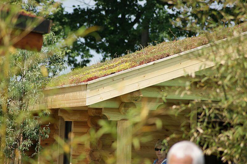 Jaké praktické výhody a vlastnosti přináší zelená střecha