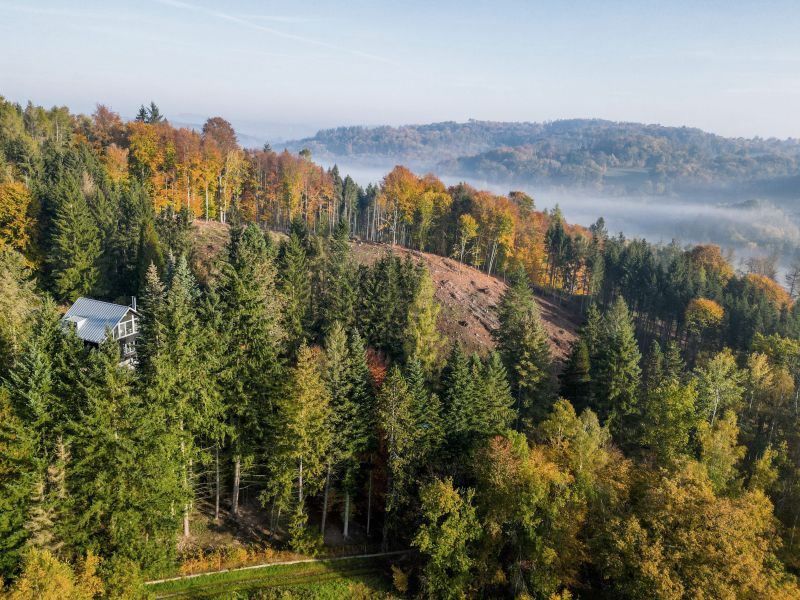 DrevoaStavby.cz | Dřevěná nástavba-moderní chata v lese