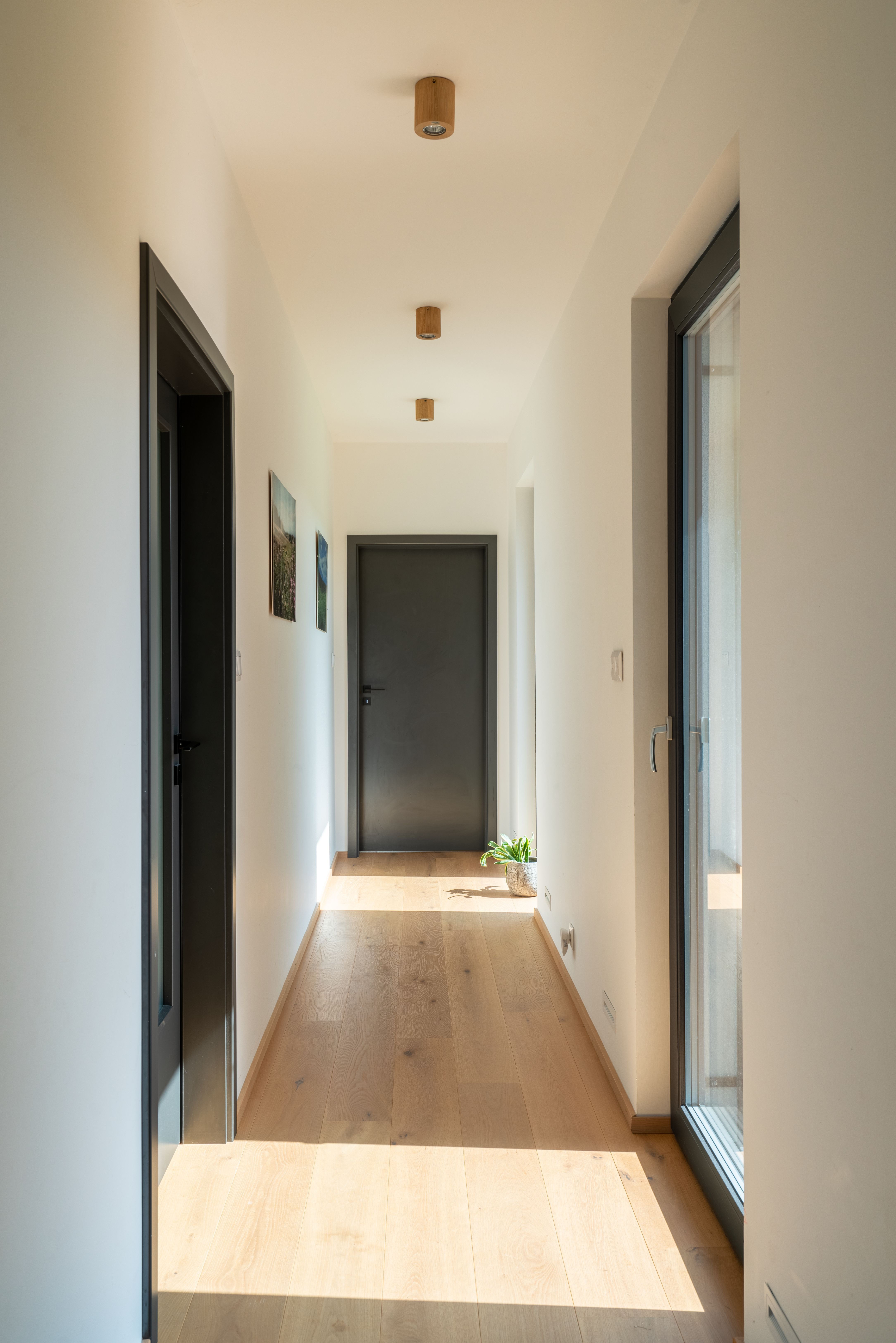 DrevoaStavby.cz Přízemní sendvičová dřevostavba Dřevo-House