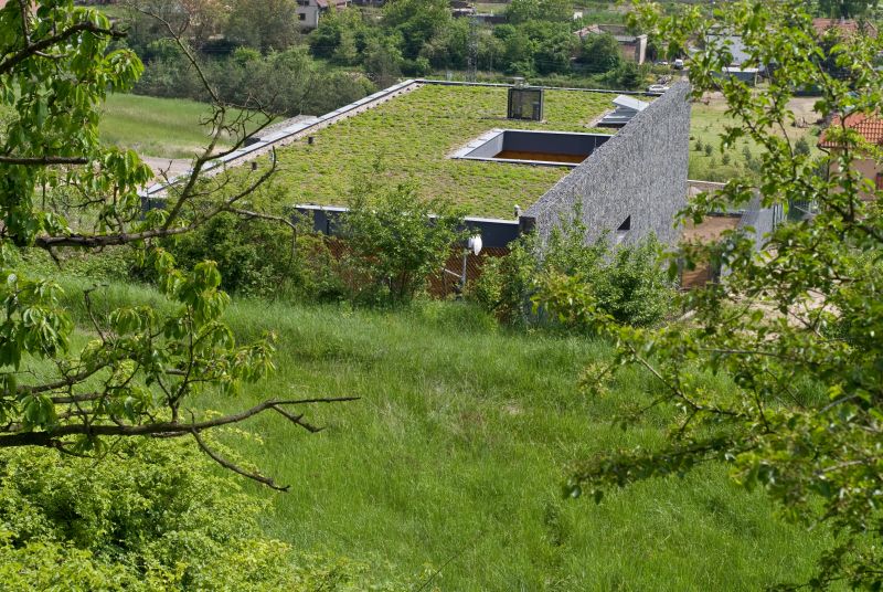 DrevoaStavby.cz | Dřevostavba zapuštěná do svahu