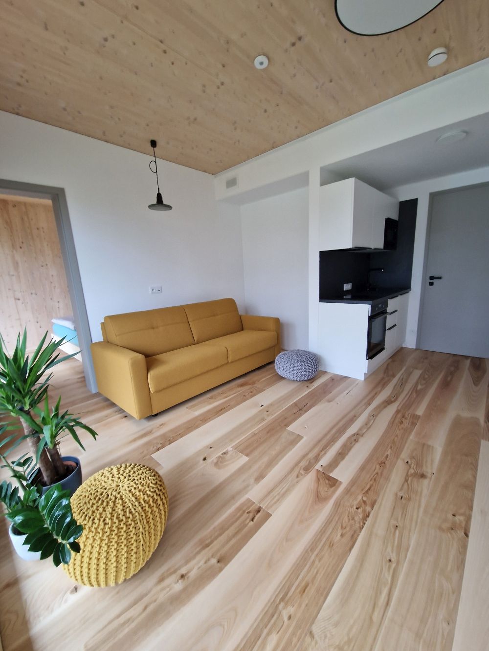 DrevoaStavby.cz Vzorová dřevostavba 3AE v Čakově 