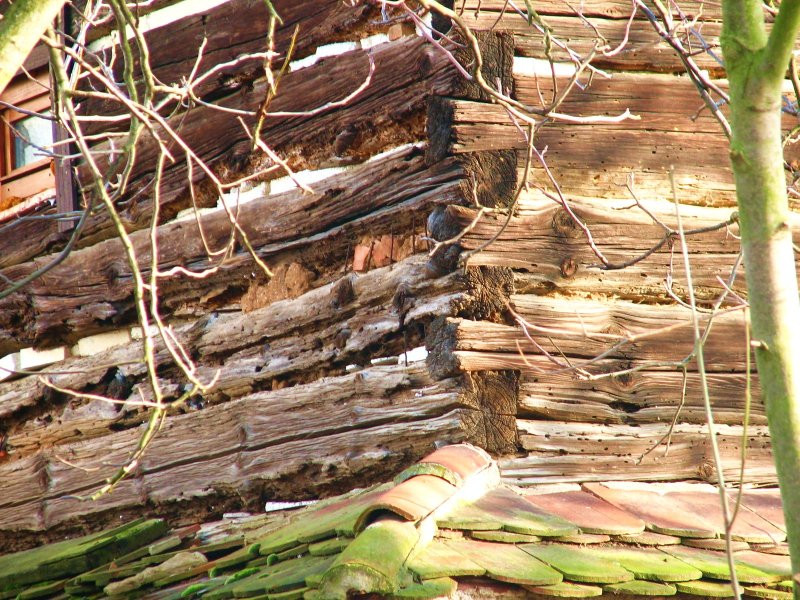 DrevoaStavby.cz | rekonstrukce roubenky poškození stěn