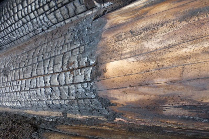 DrevoaStavby.cz | Detail zuhelnatěn&iacute; povrchov&eacute; vrstvy dřeva