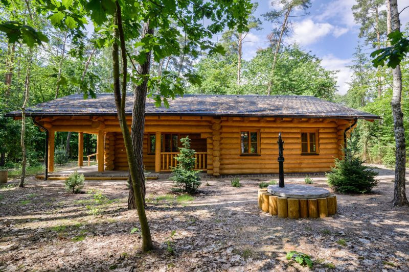 Srubový bungalov se rozhodli postavit uprostřed borovicového lesa bez velkých stavebních omezení