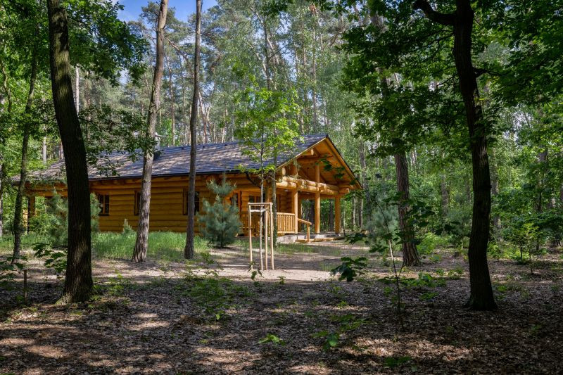 DrevoaStavby.cz | Dřevostavba uprostřed borovicového lesa