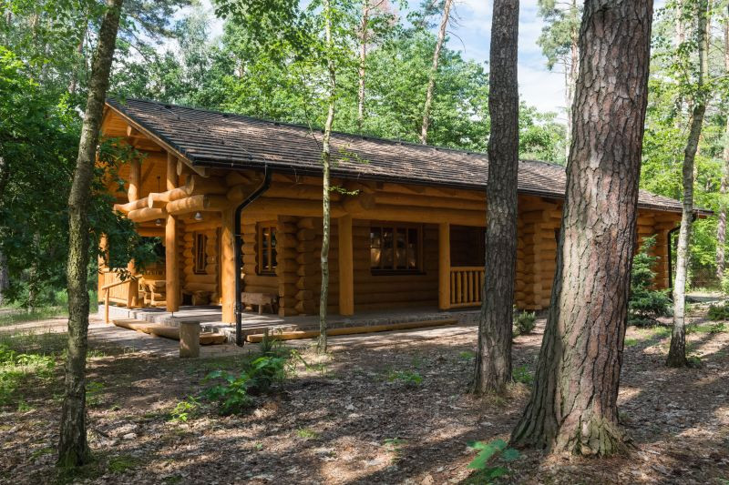 DrevoaStavby.cz | Dřevostavba uprostřed borovicového lesa