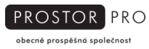 PROSTOR PRO LOGO