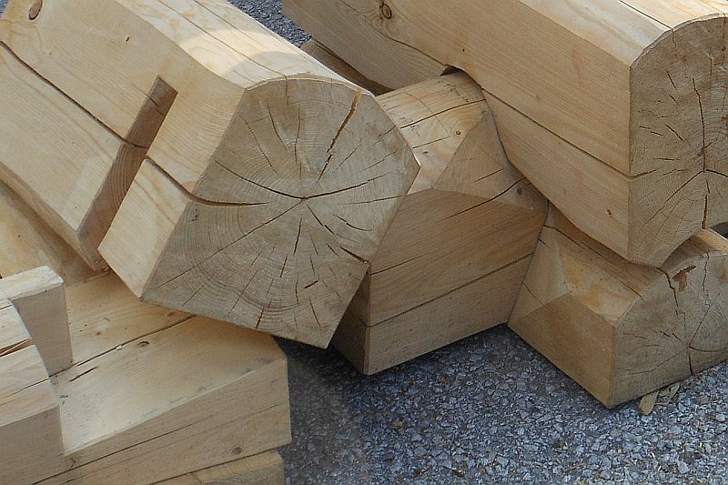 Dřevo: <small>ideální stavební materiál, o kterém ještě mnoho nevíme</small>