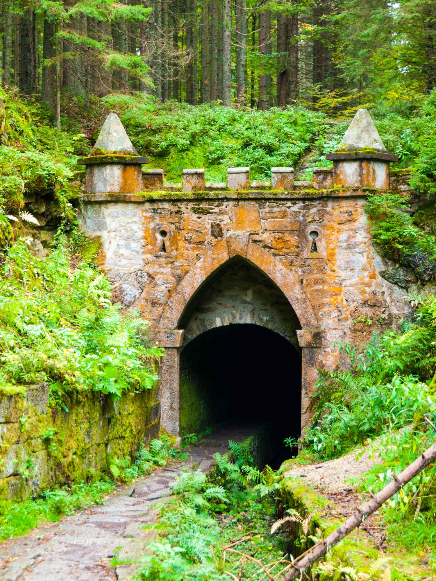 Za drevarstvim na Sumavu 400 metru dlouhy tunel 11zon