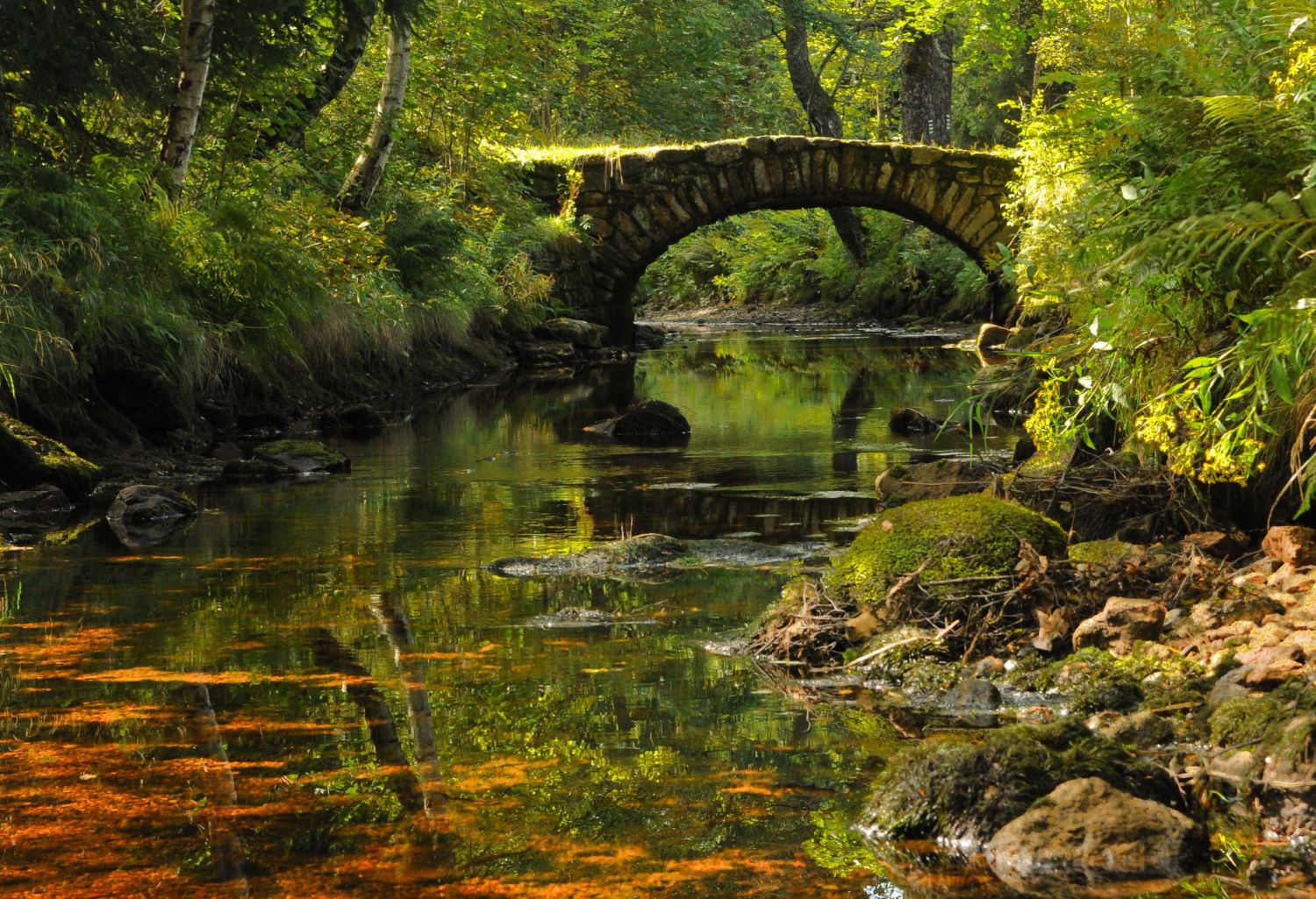 Za drevarstvim na Sumavu Vchynicko Tetovsky kanal