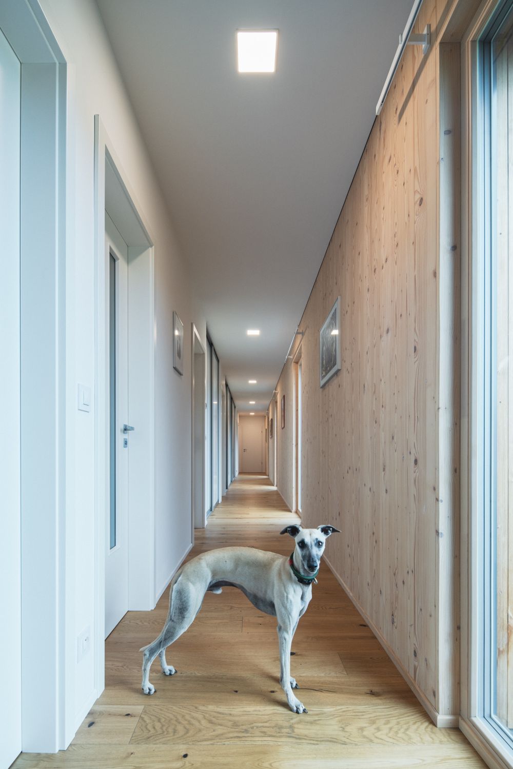 14 Vila schoulená v náručí krajiny