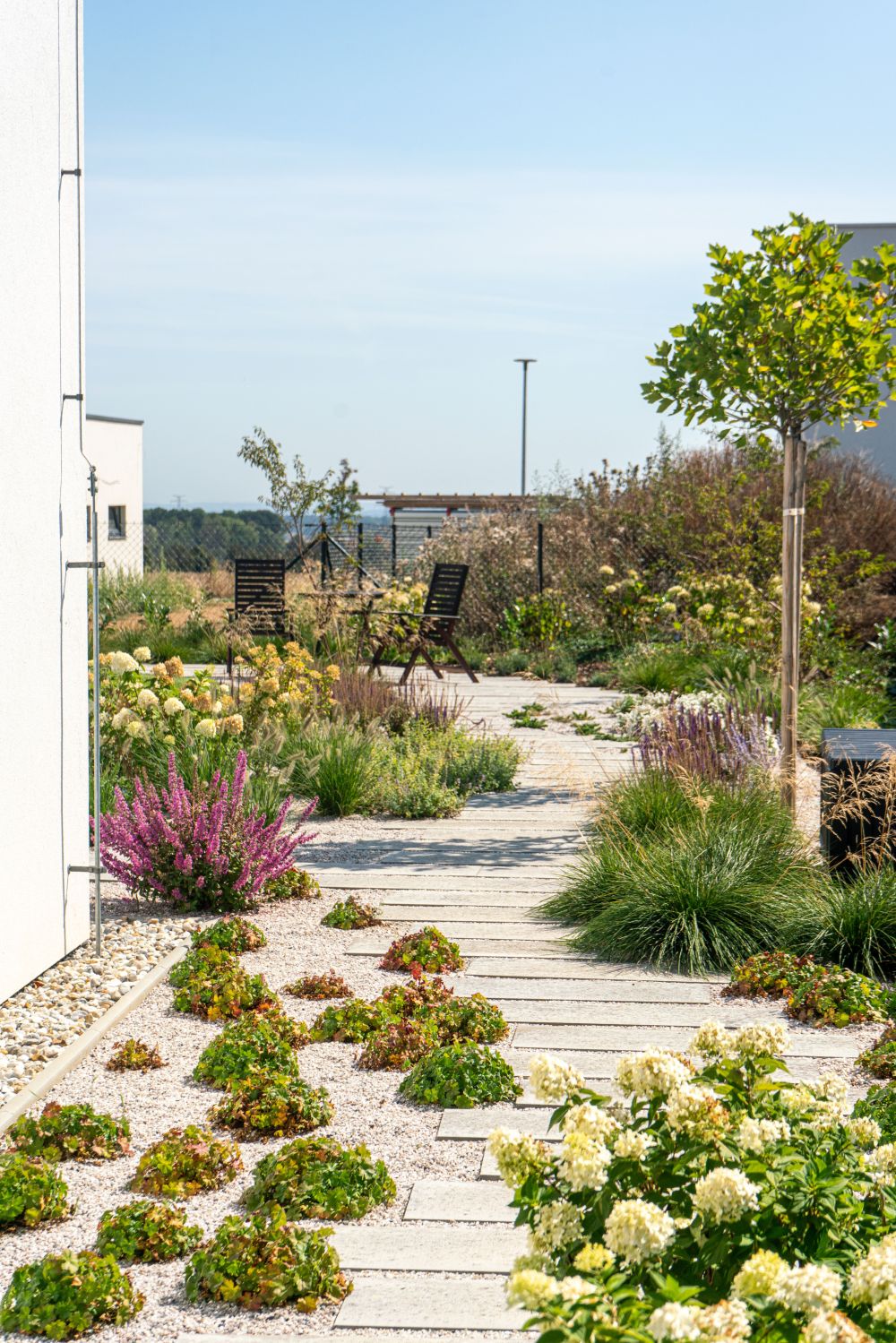 5 Na stejné startovní čáře