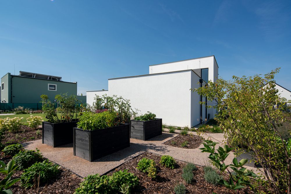 7 Na stejné startovní čáře