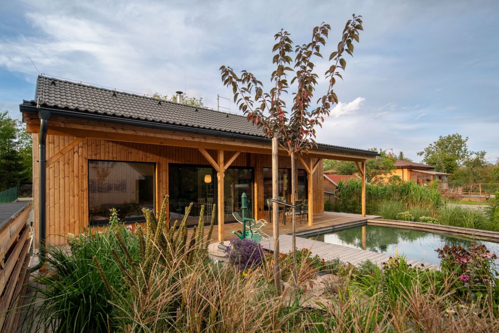 2 V zátiší s lekníny