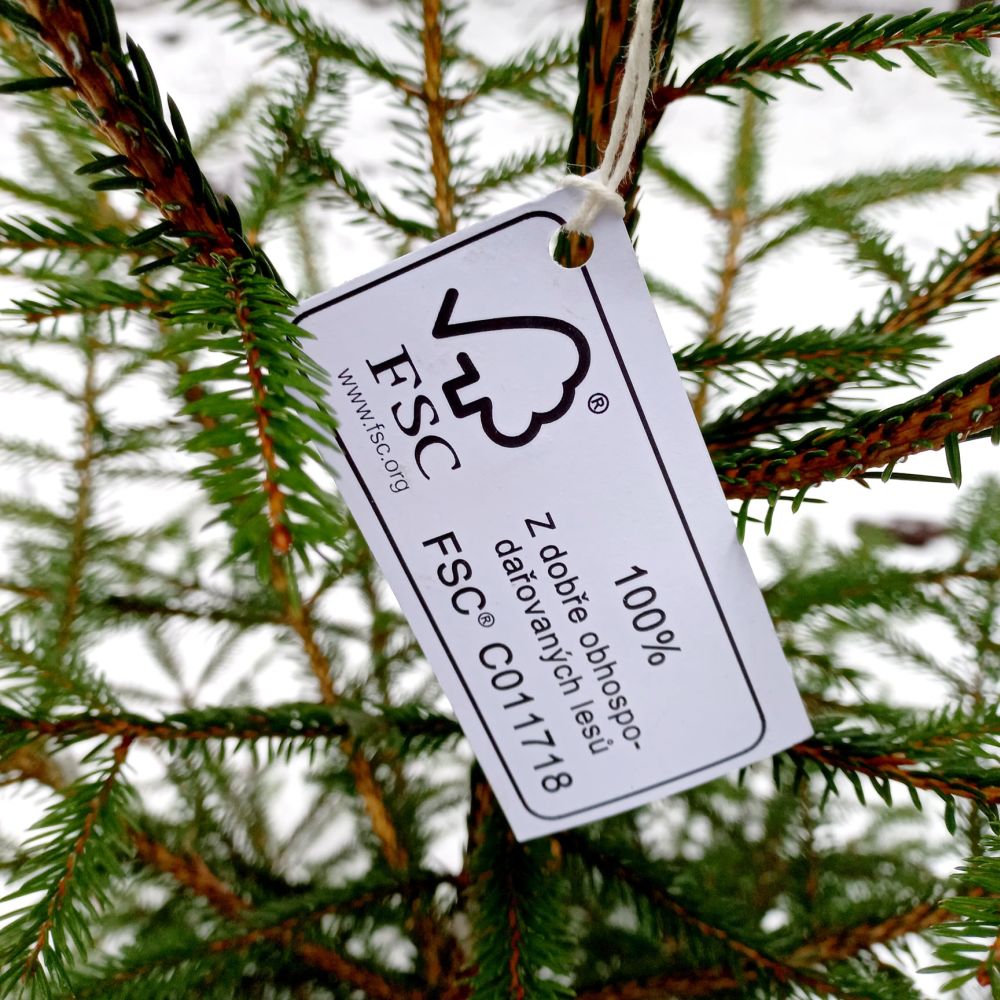 FSC-vánoční-strom