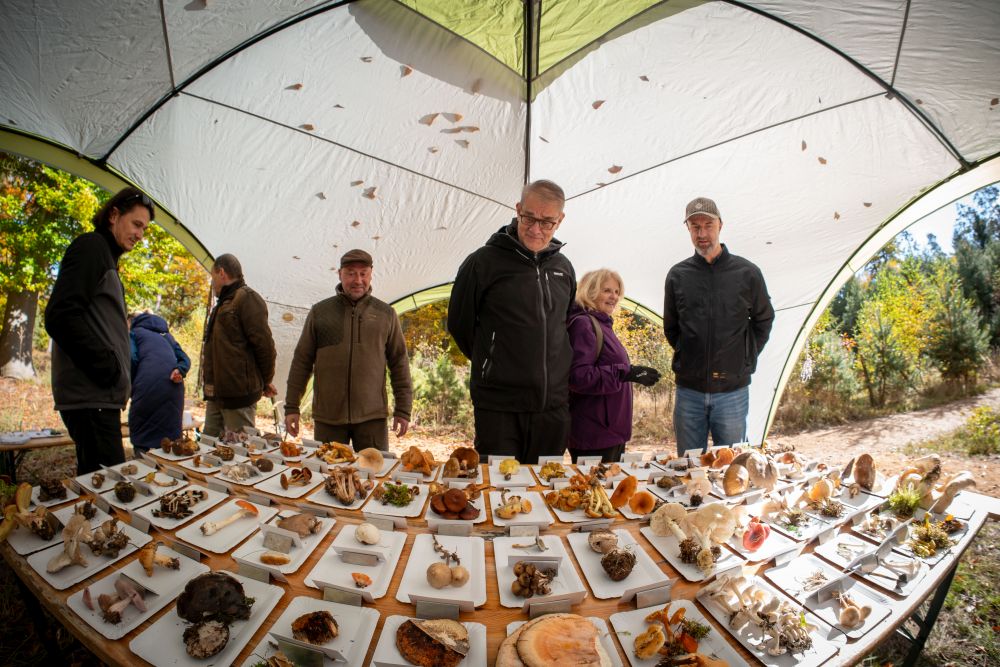 2 DEN LESŮ NOVÉ GENERACE 2025