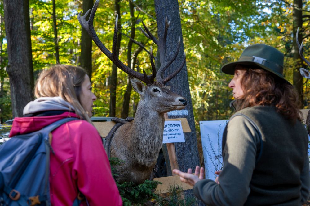 4 DEN LESŮ NOVÉ GENERACE 2025
