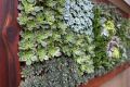 04 living-wall-art