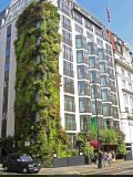 athenaeum-hotel-vertical-garden-london-august-2012