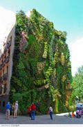 stylowi pl inne vertical-garden-by-patrick-blanc-in-madrid-spain 6611121