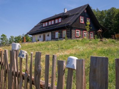 stylova-poloroubenka