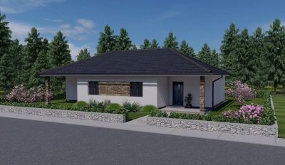 swing-116-drevostavba-na-klic