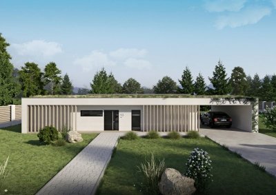 light-01-drevostavba-na-klic