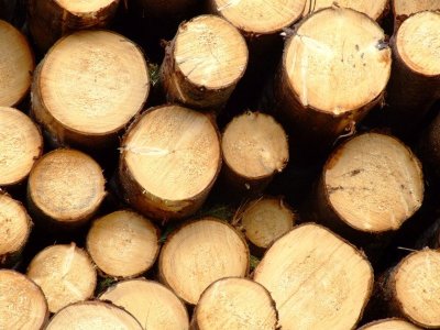 kronospan-osb-spol-s-r-o