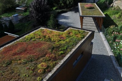 sedum-top-solution-s-r-o