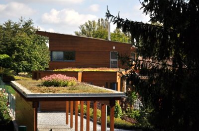 sedum-top-solution-s-r-o