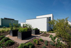 Čistý smysl pro účel