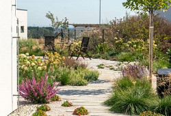 Na stejné startovní čáře