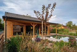 V zátiší s lekníny