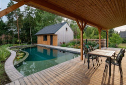 V zátiší s lekníny