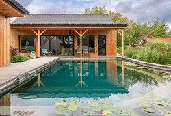 V zátiší s lekníny