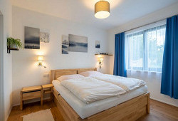 V zátiší s lekníny