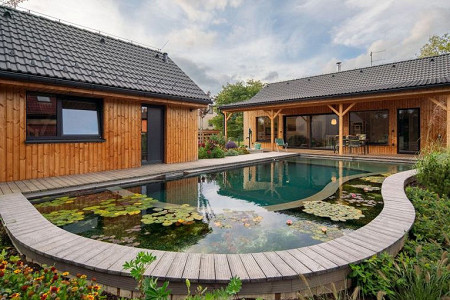 V zátiší s lekníny