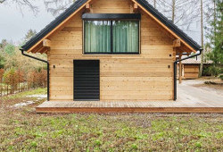 Cedrová krása na břehu Vltavy