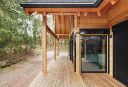 Cedrová krása na břehu Vltavy