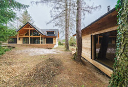 Cedrová krása na břehu Vltavy