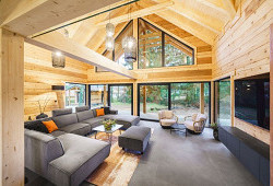 Cedrová krása na břehu Vltavy