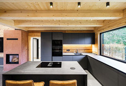 Cedrová krása na břehu Vltavy