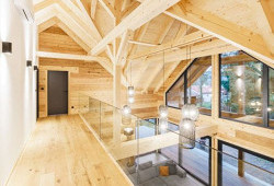 Cedrová krása na břehu Vltavy