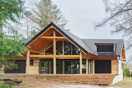 Cedrová krása na břehu Vltavy