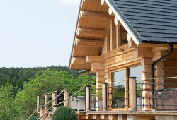 Volání divočiny po šumavsku