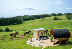 Volání divočiny po šumavsku