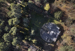 Disk, který přistál uprostřed slavného lesa