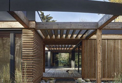 Disk, který přistál uprostřed slavného lesa