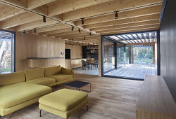 Disk, který přistál uprostřed slavného lesa