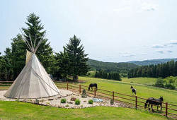 Volání divočiny po šumavsku